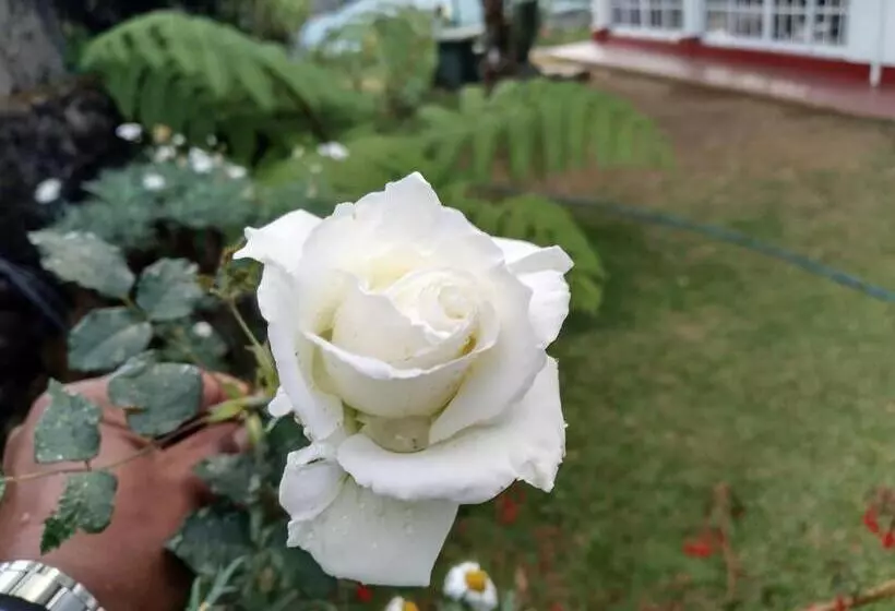 Majatalo Blossomwell Bungalow