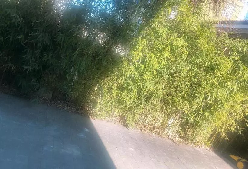 Majatalo New Family Inn