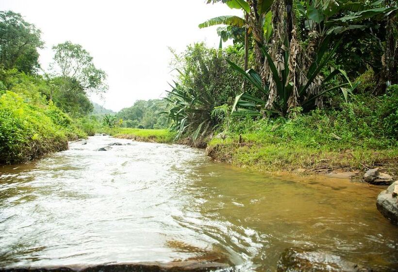 펜션 Room In Cabin   The Nest Bettathur, Coorg Ct 003