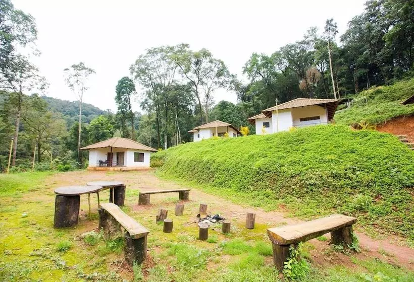 Majatalo Room In Cabin   The Nest Bettathur, Coorg Ct 003