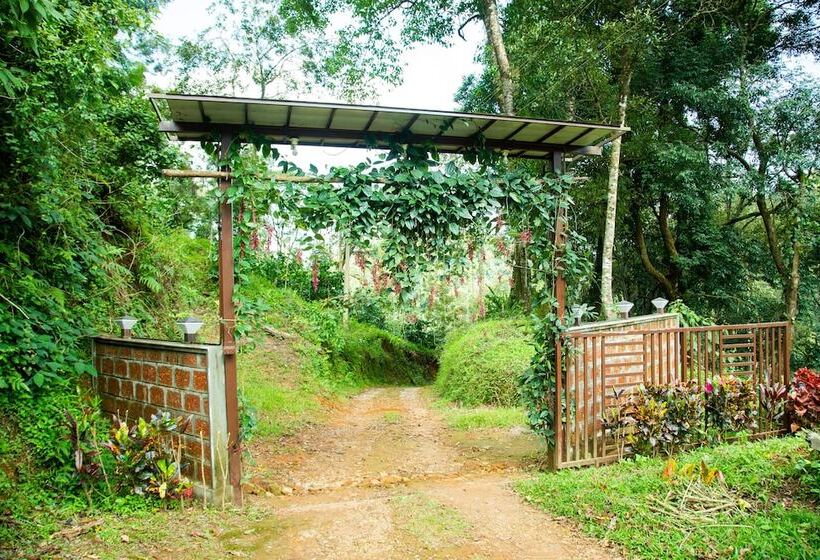 펜션 Room In Cabin   The Nest Bettathur, Coorg Ct 003