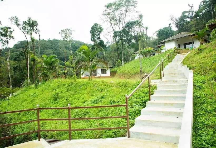 Majatalo Room In Cabin   The Nest Bettathur, Coorg Ct 003
