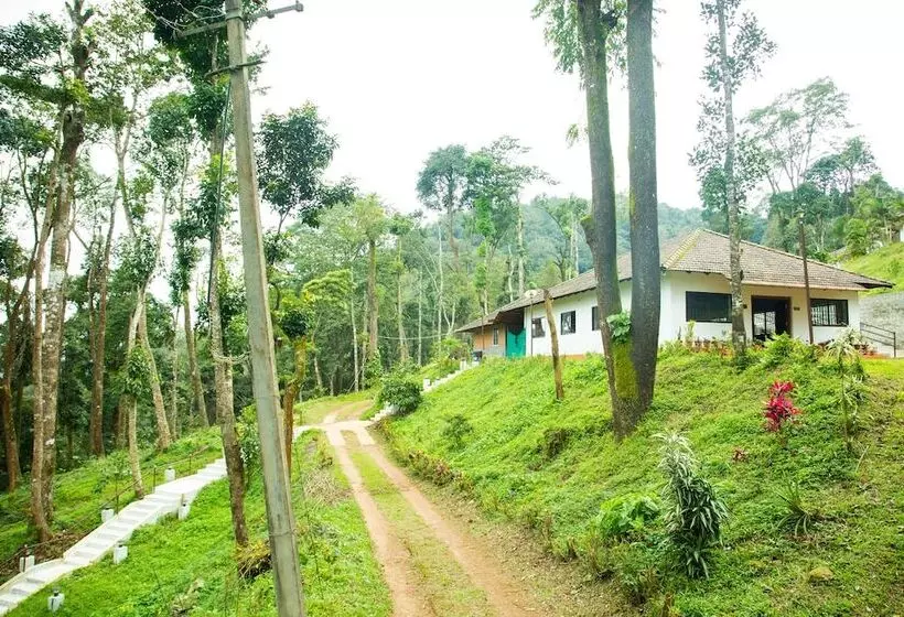 Majatalo Room In Cabin   The Nest Bettathur, Coorg Ct 003