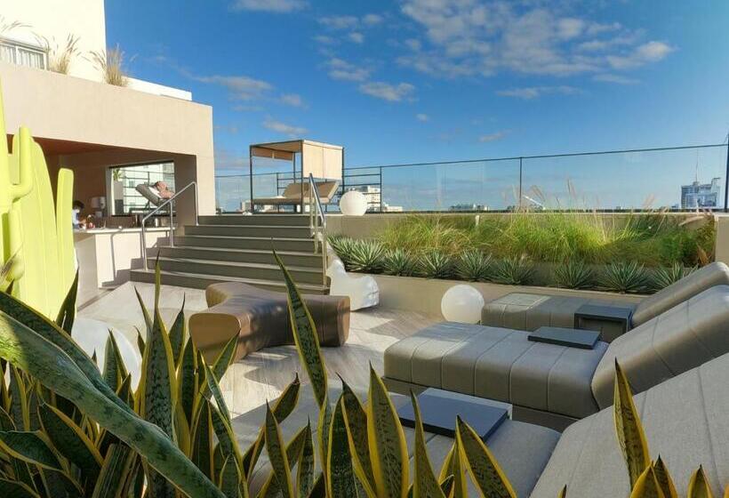 Regatta Living Hotel By Mint