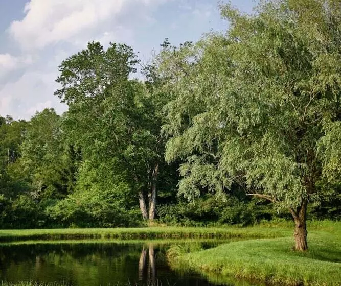 Hotelli Callicoon Hills