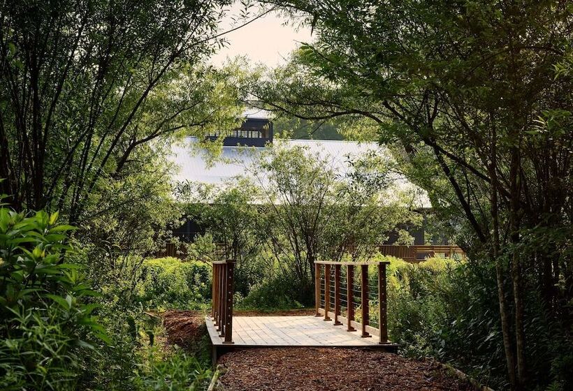 酒店 Callicoon Hills