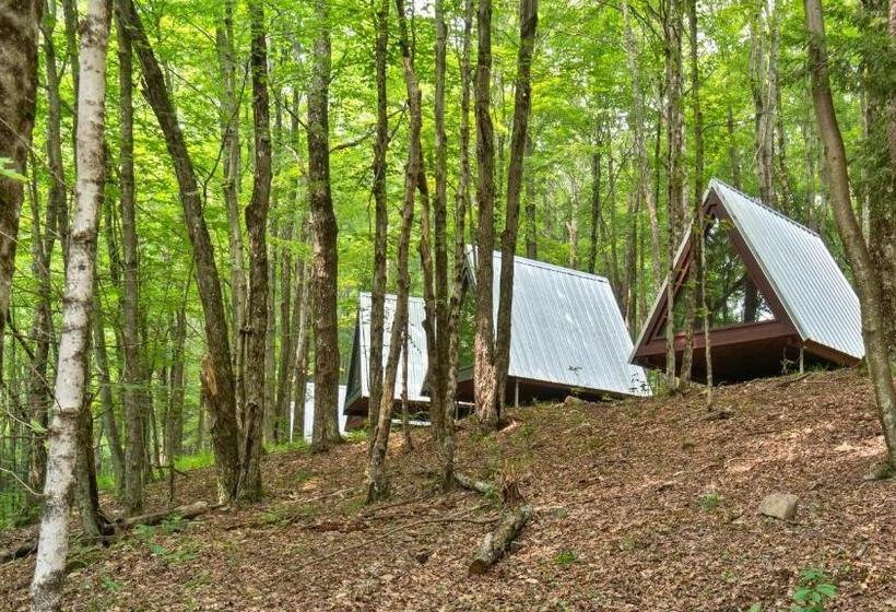 酒店 Callicoon Hills