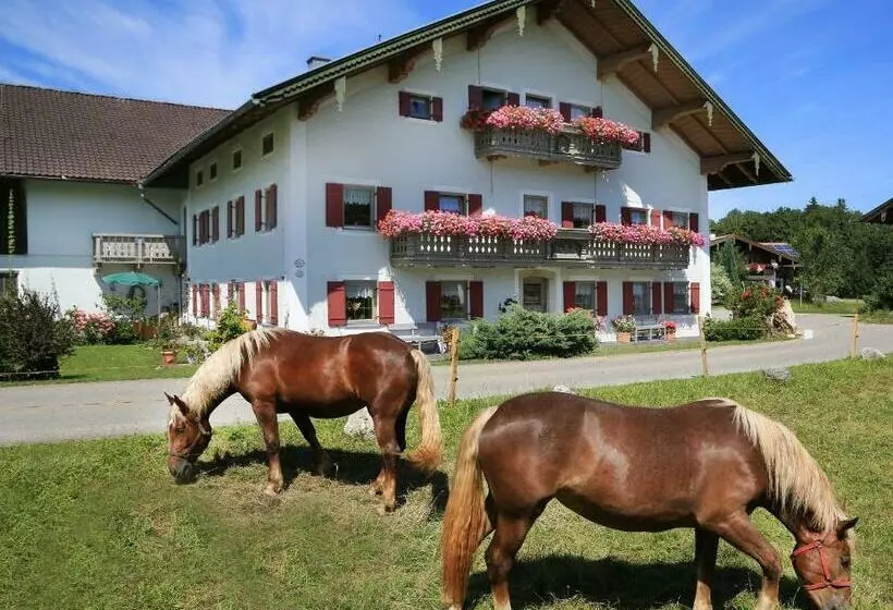 ホテル Heutauer Hof