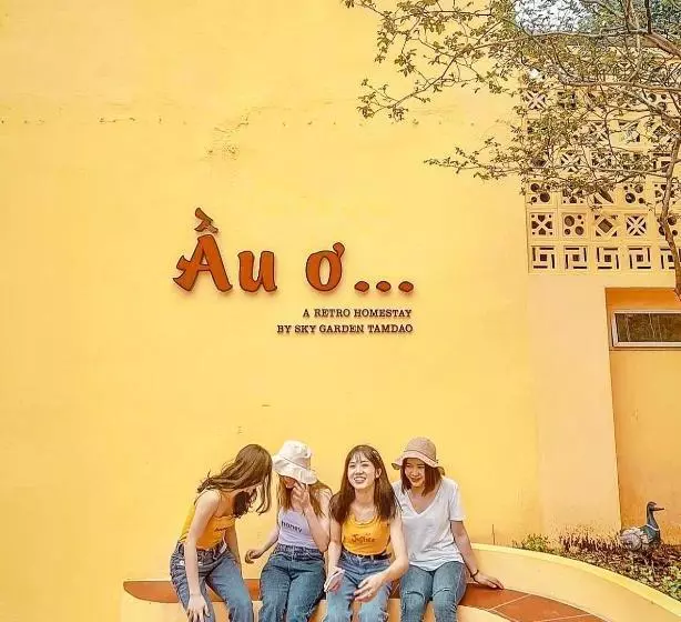 تختخواب و صبحانه ầu ơ  A Retro Homestay By Sky Garden Tamdao