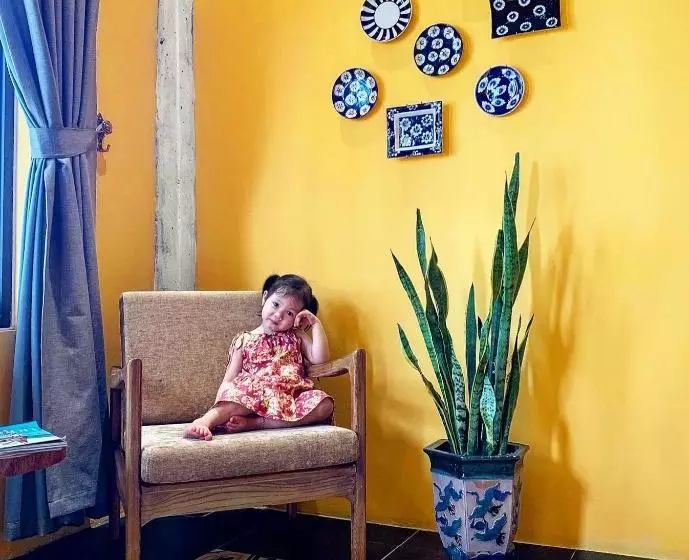 تختخواب و صبحانه ầu ơ  A Retro Homestay By Sky Garden Tamdao