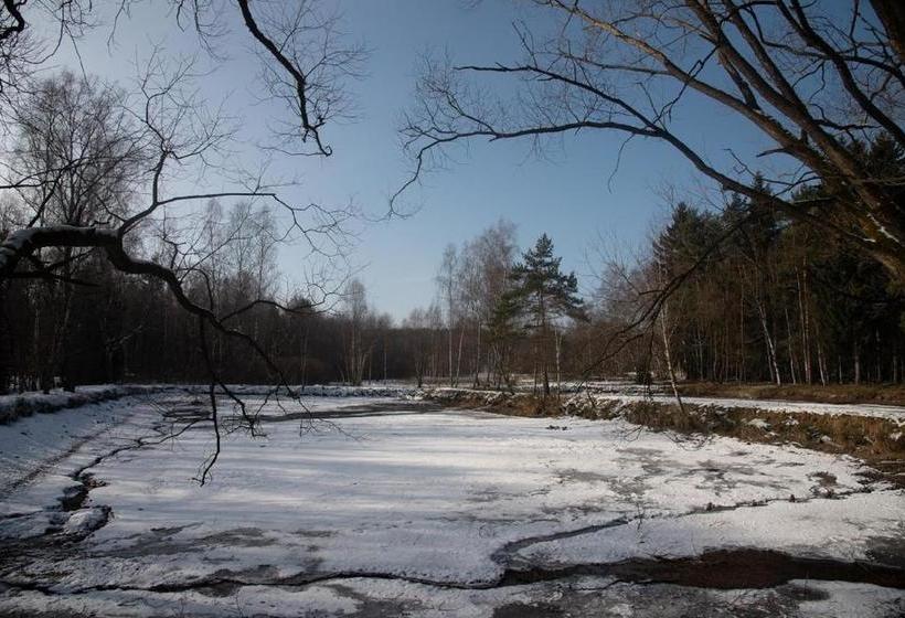 פנסיון Wiesner's Teichwirtschaft