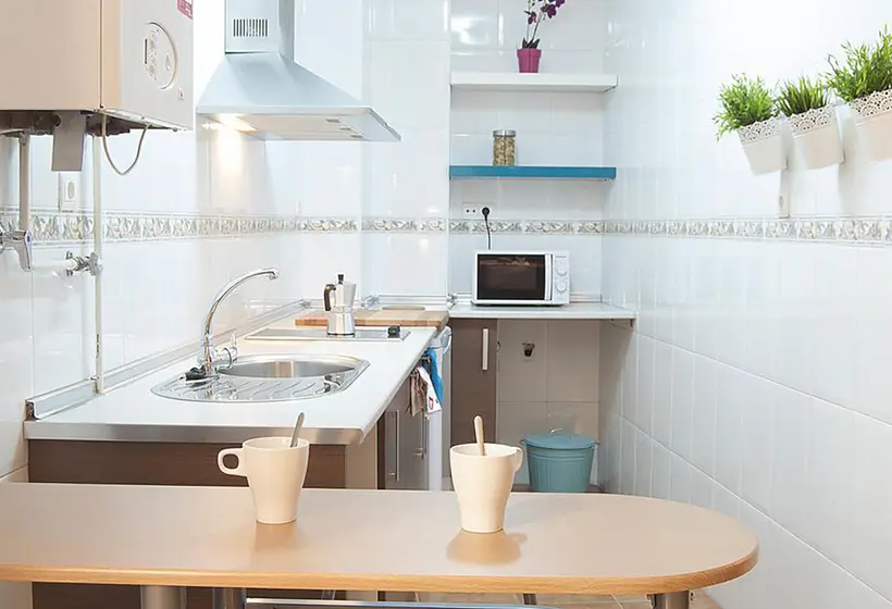 Apartamentos Catedral Plaza 3000