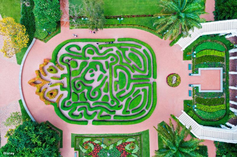 فندق Hong Kong Disneyland