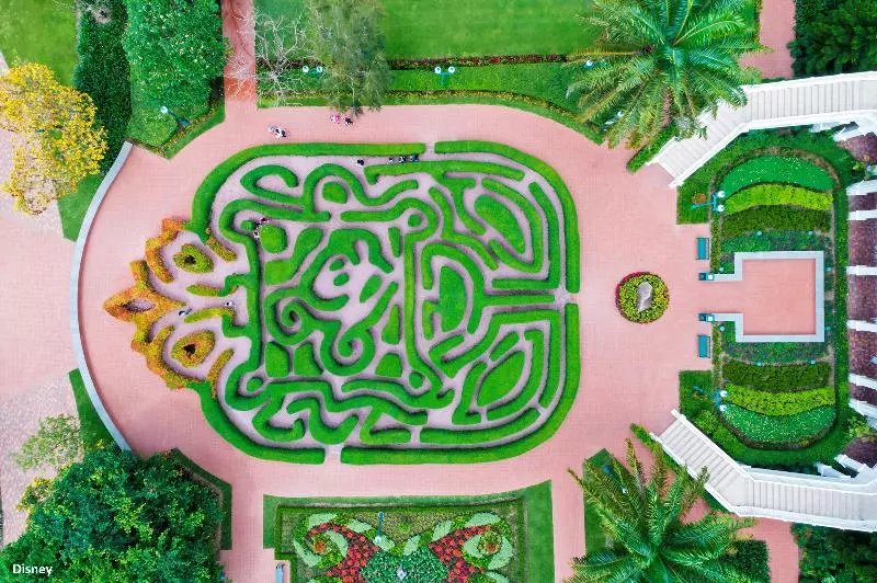 هتل Hong Kong Disneyland