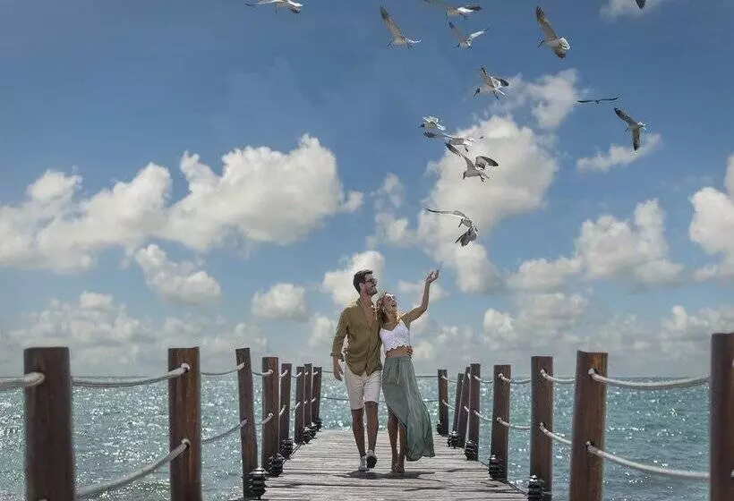渡假胜地 Ocean Maya Royale - Adults Only - All Inclusive