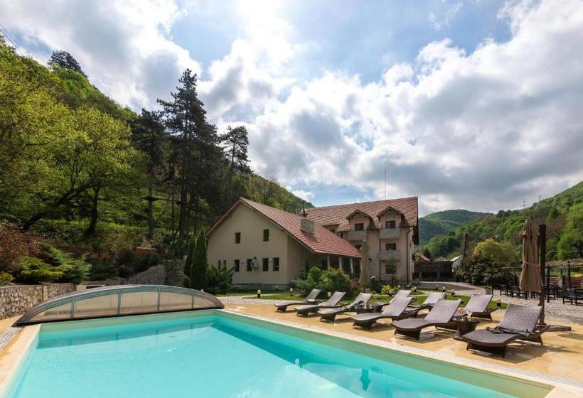 ユースホステル Rocker's Inn