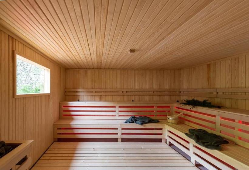 ユースホステル Rocker's Inn