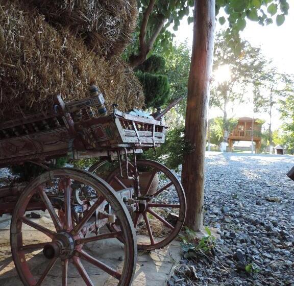 Anatolia Hotel Geyre Karacasu Aydın