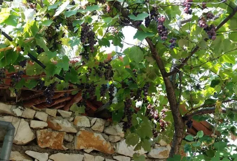 Anatolia Hotel Geyre Karacasu Aydın