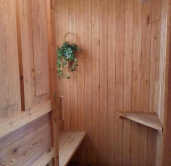 Пансион зазимье, летний дом