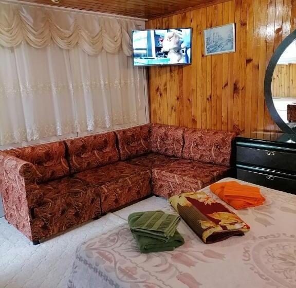 Пансион зазимье, летний дом