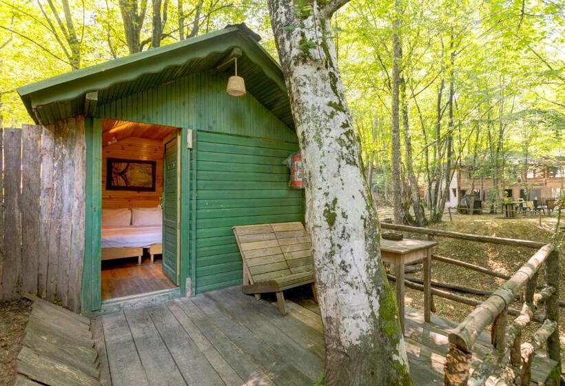 膳宿费 Hindiba Doga Evi