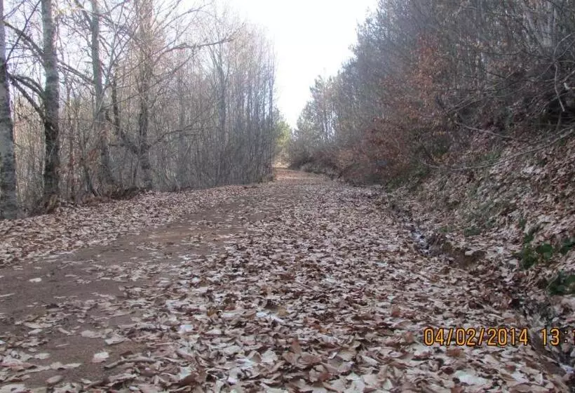 Majatalo Hindiba Doga Evi