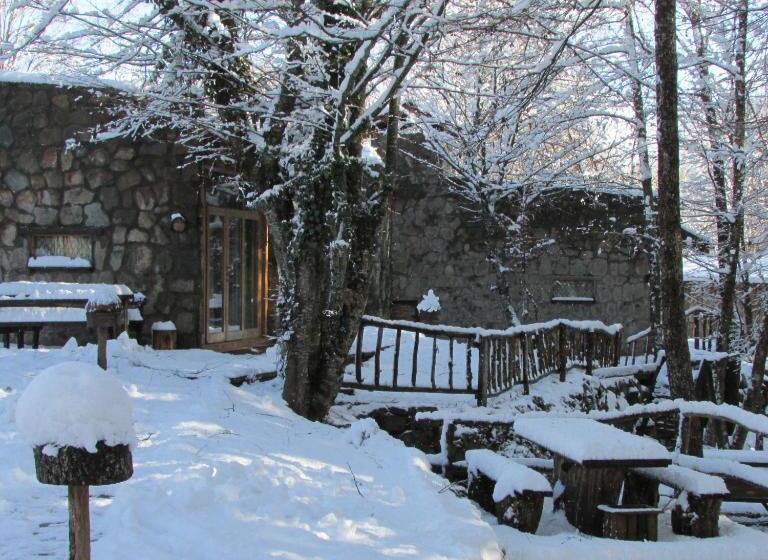 膳宿费 Hindiba Doga Evi