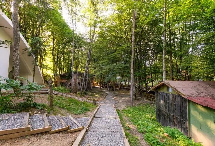 Majatalo Hindiba Doga Evi