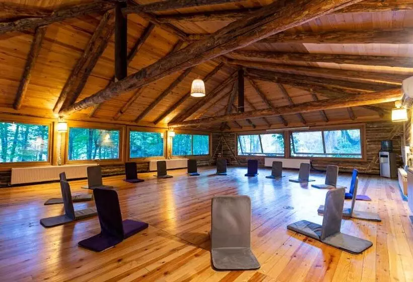 Majatalo Hindiba Doga Evi