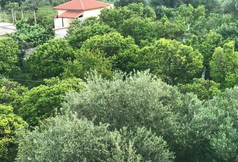 膳宿费 Vial Rooms