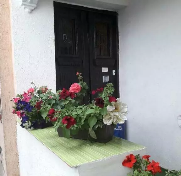 پانسیون Guest House The House