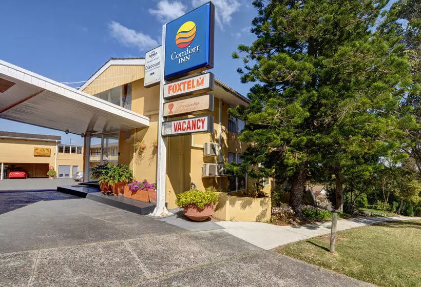 Отель Comfort Inn North Shore