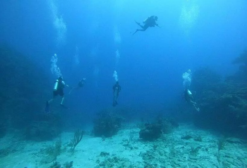 ホテル Corona Del Mar