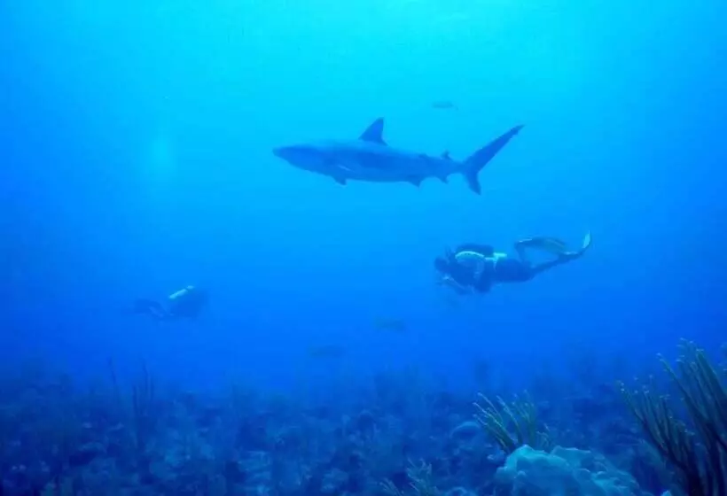 ホテル Corona Del Mar