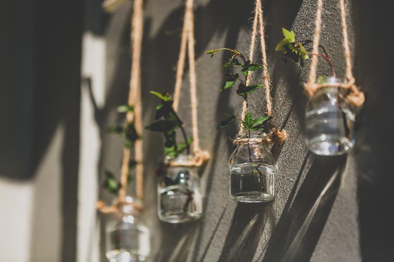 هتل Lilla Rådmannen