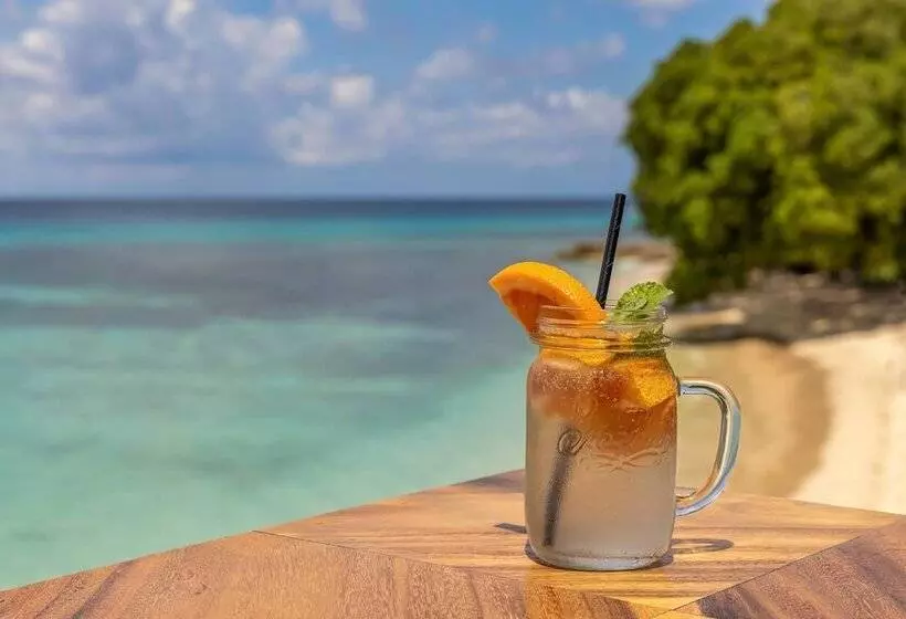 Waves Hotel And Spa By Elegant Hotels   All Inclusive