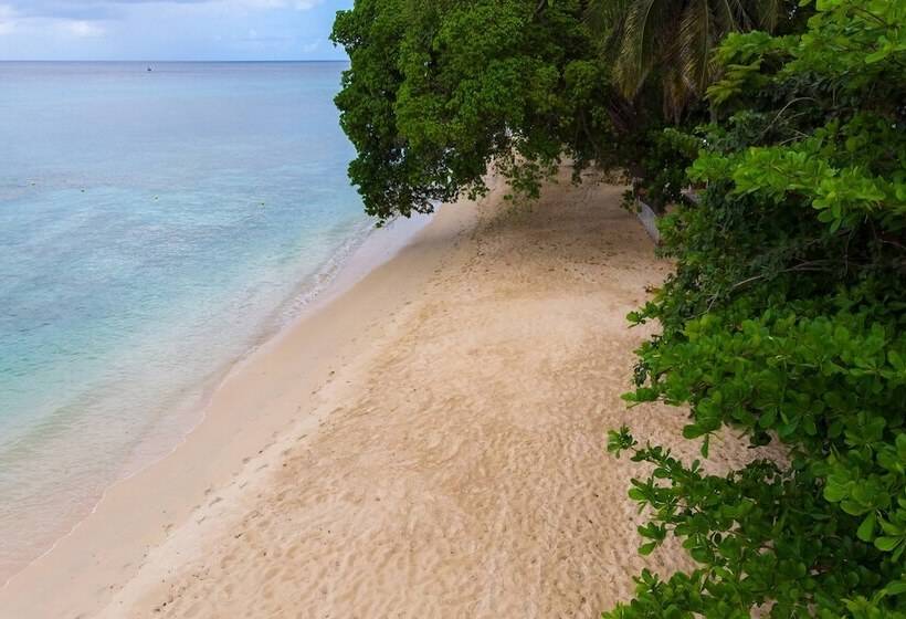 Waves Hotel And Spa By Elegant Hotels   All Inclusive