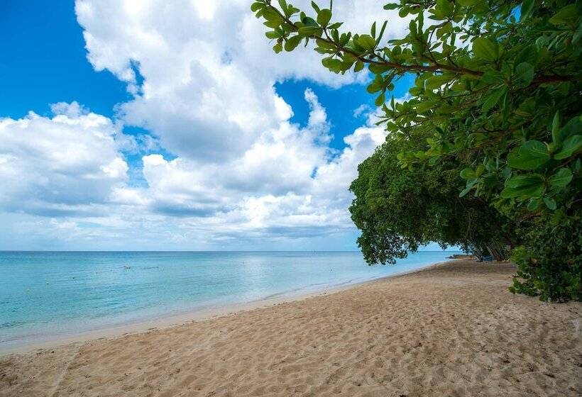 Waves Hotel And Spa By Elegant Hotels   All Inclusive