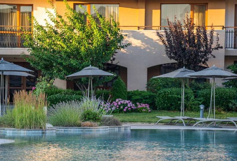 Hvd Club Hotel Miramar   Ultra All Inclusive