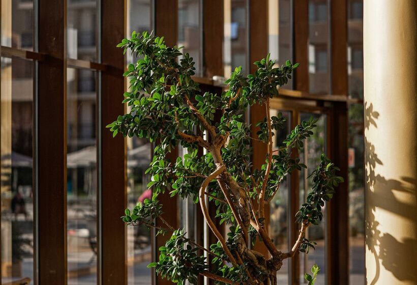 Hvd Club Hotel Miramar   Ultra All Inclusive