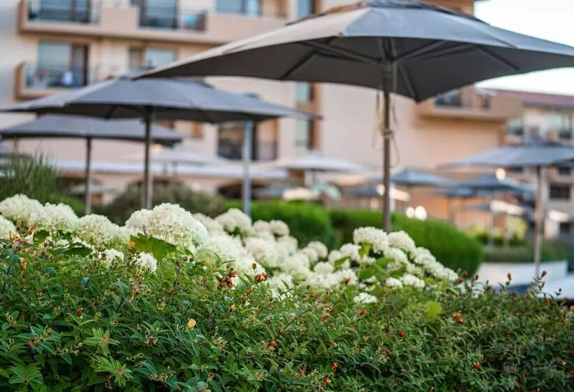 Hvd Club Hotel Miramar   Ultra All Inclusive