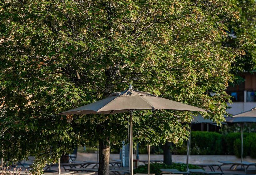 Hvd Club Hotel Miramar   Ultra All Inclusive