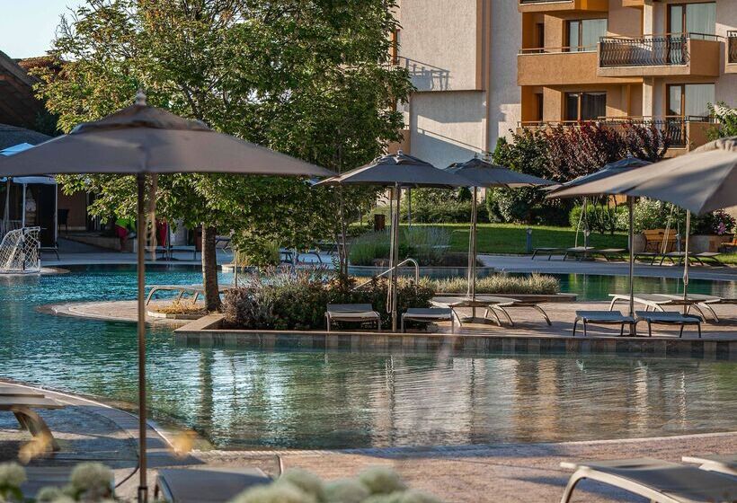 Hvd Club Hotel Miramar   Ultra All Inclusive