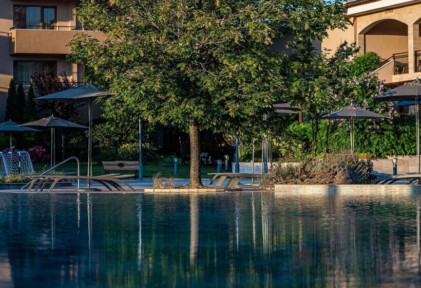 Hvd Club Hotel Miramar   Ultra All Inclusive