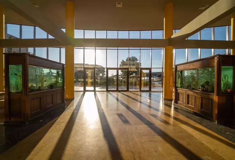 Hvd Club Hotel Miramar   Ultra All Inclusive