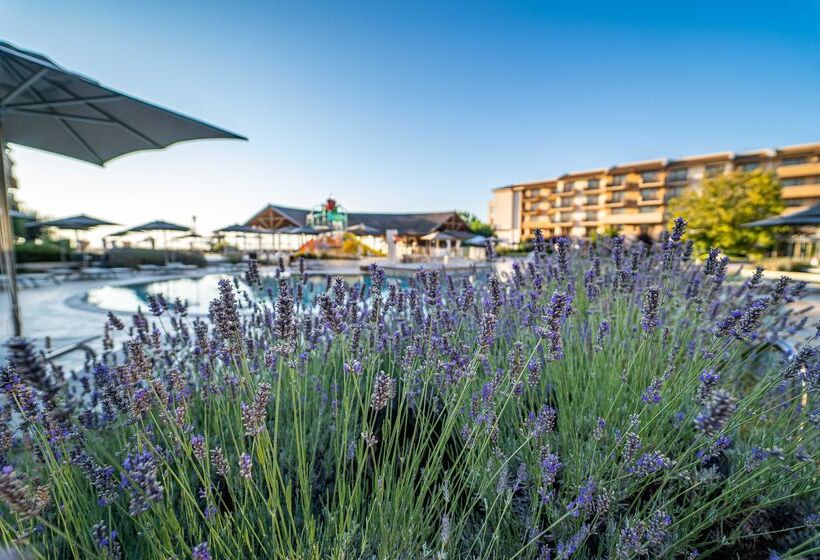 Hvd Club Hotel Miramar   Ultra All Inclusive