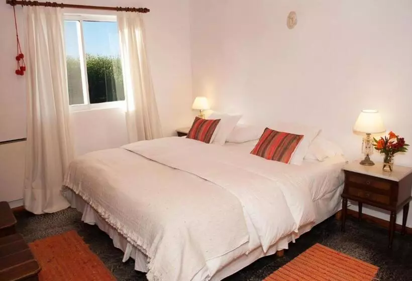 Bed & Breakfast Finca La Vertiente