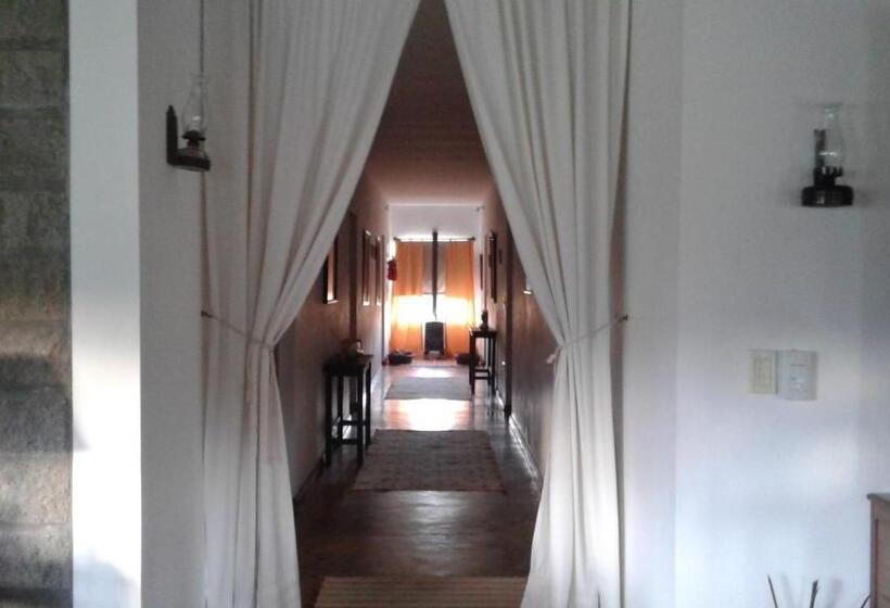 Bed & Breakfast Finca La Vertiente