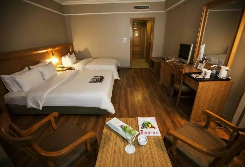 酒店 Anemon Antakya